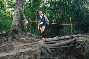 BIB: 
                            <button type="button" onclick="openModal(27753868)" class="btn btn-primary btn-sm float-right btn-popup" data-toggle="modal" data-target=".modal-high-quality">
                        <i class="fas fa-shopping-cart"></i> Add to Cart
                    </button>
                                            <button type="button" onclick="isThisMe(27753868, true)" class="btn btn-success btn-sm float-right btn-popup btn-isme hidden" data-toggle="tooltip" data-placement="bottom" title="นี่คือรูปของคุณใช่ไหม คลิกที่นี่เพื่อเอาเข้าอัลบั้ม">
                        <i class="fas fa-plus"></i> Add to album
                    </button>
                    <button type="button" onclick="isThisMe(27753868, false)" class="btn btn-warning btn-sm float-right btn-popup btn-isnotme hidden">
                        <i class="fas fa-ban"></i> Remove from album
                    </button>